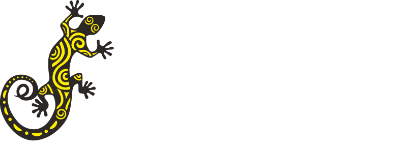 The Salamanders logo