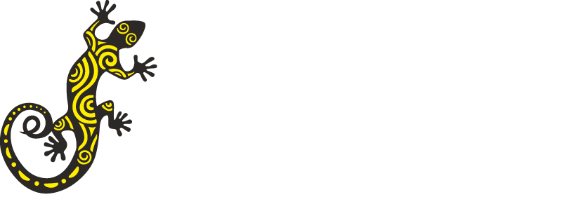 The Salamanders
